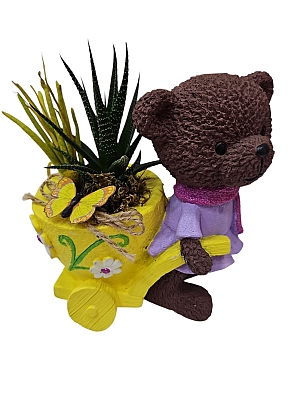 �EK�EKL� KIZ AYICIKLI TERARYUM