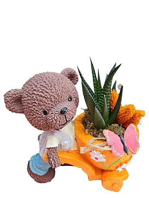 �EK�EKL� ERKEK AYICIKLI TERARYUM